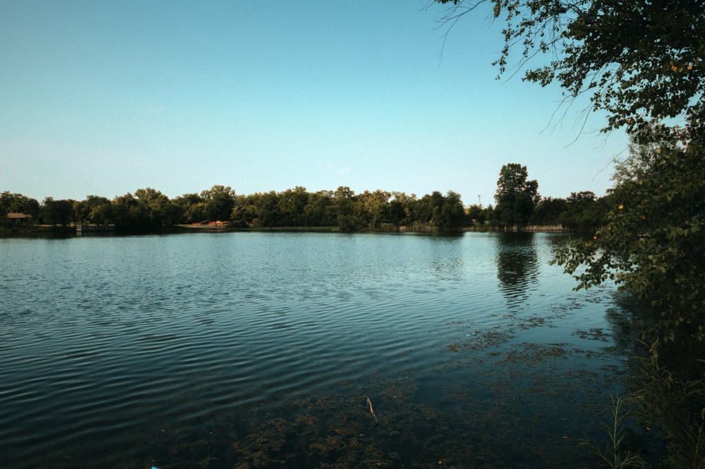Wood Dale Forest Preserves – Wood Dale Illinois